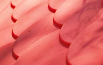 Milton Clevedon plastic roof costs